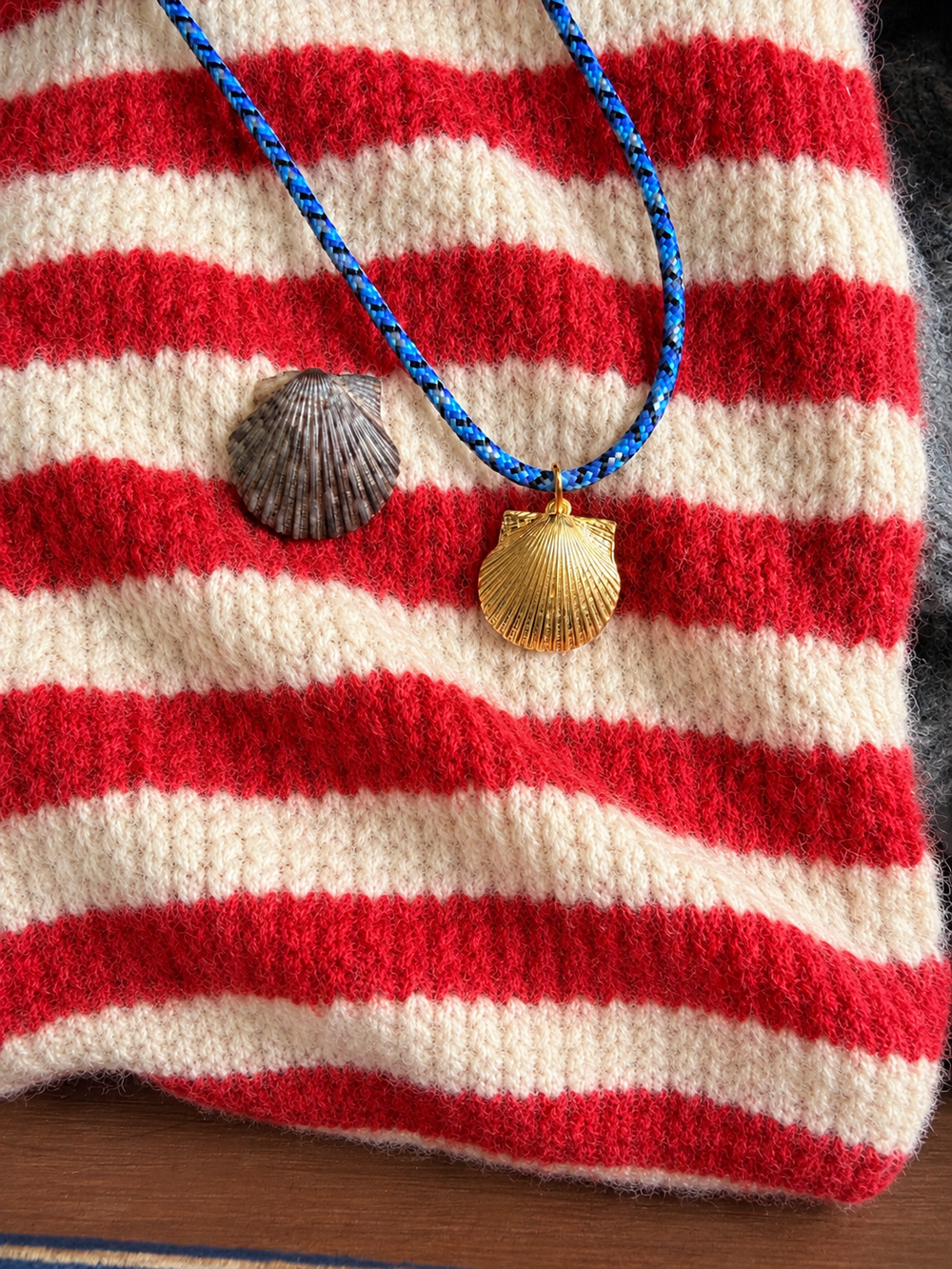 scallop shell