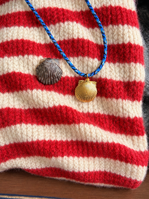 scallop shell