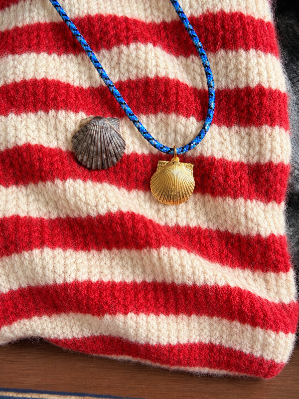 scallop shell