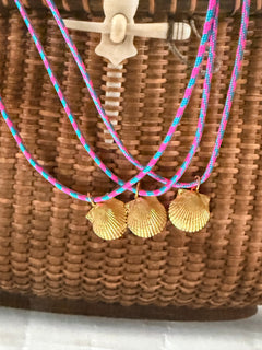 scallop shell