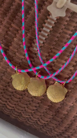scallop shell